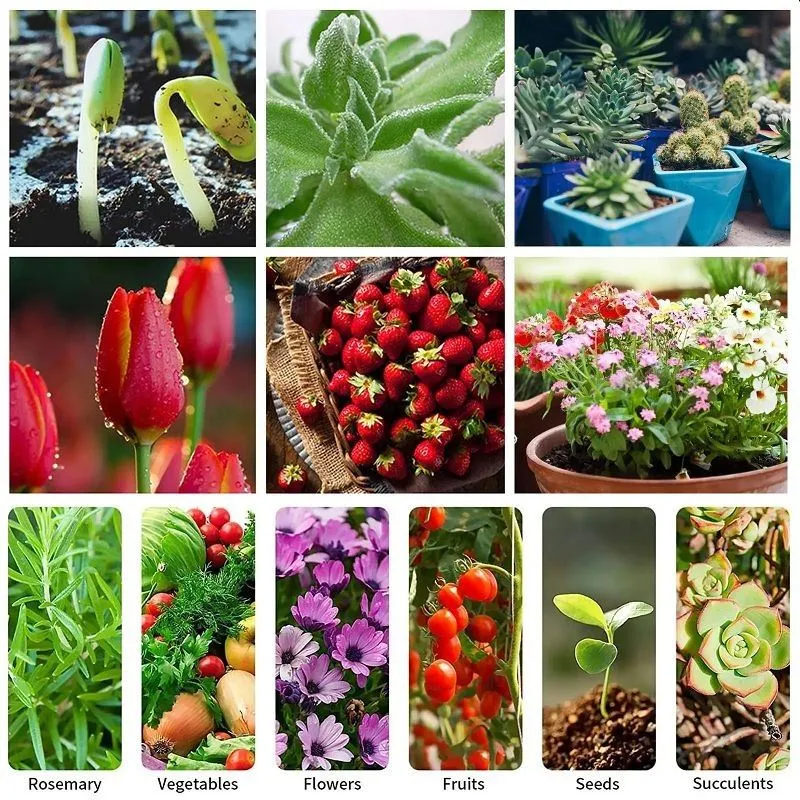 Outdoor Grow Light Bulbs Outdoor Grow Light Bulbs